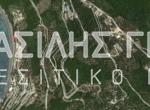 arila