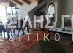 Χωρίς τίτλοTY