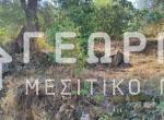 Χωρίς τίτλο