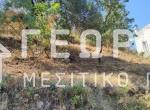 Χωρίς τίτλο2